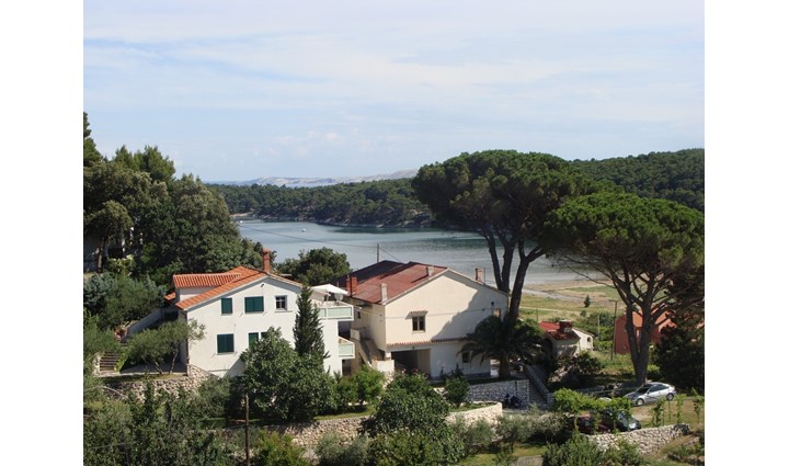 Barčić Božena 0